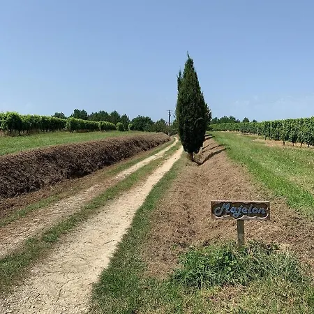 Majellon Sud Tatil Evi